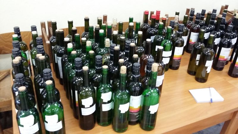 Fotogaléria Ochutnávka vín 2016 (28) Ochutnávka vín 2016